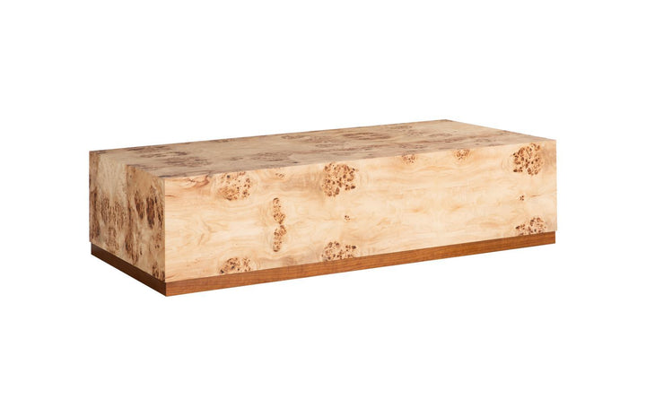 Burl Block Coffee Table by Phillips Collection — view 1