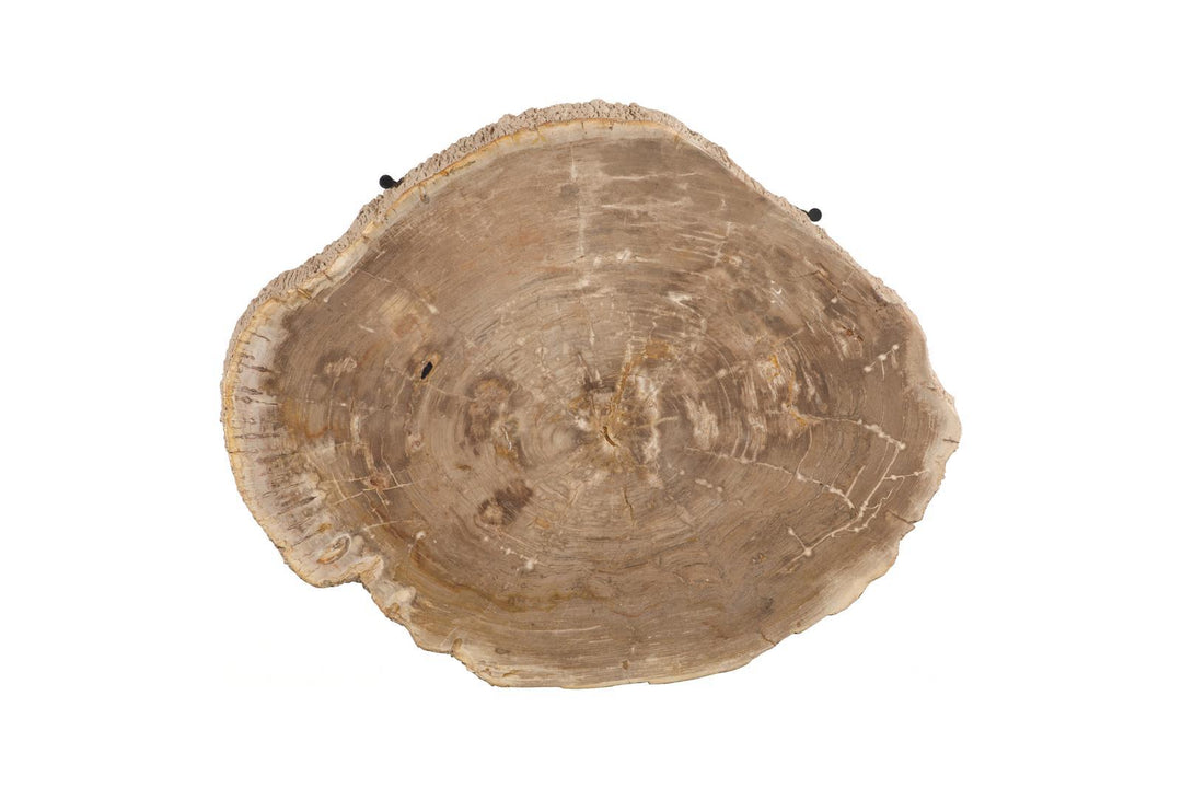 Chaka Petrified Coffee Table, Cream, With Black Legs by Phillips Collection — view 3