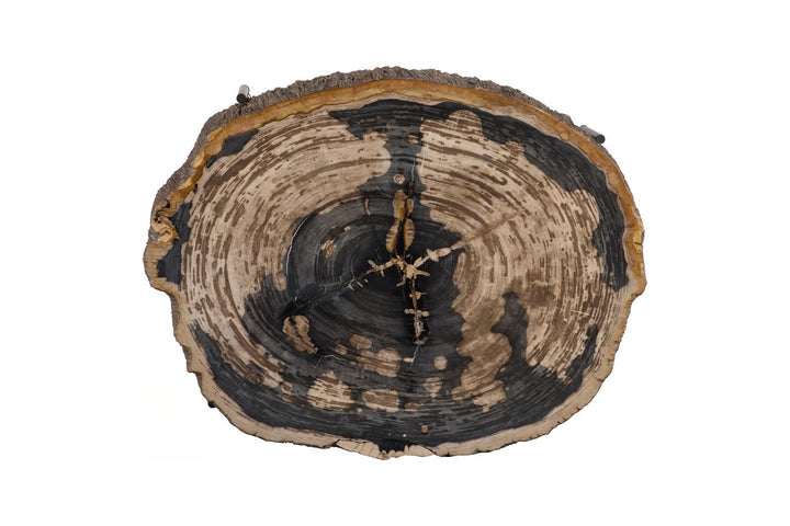 Chaka Petrified Coffee Table, Mixed, With Black Legs by Phillips Collection — view 3