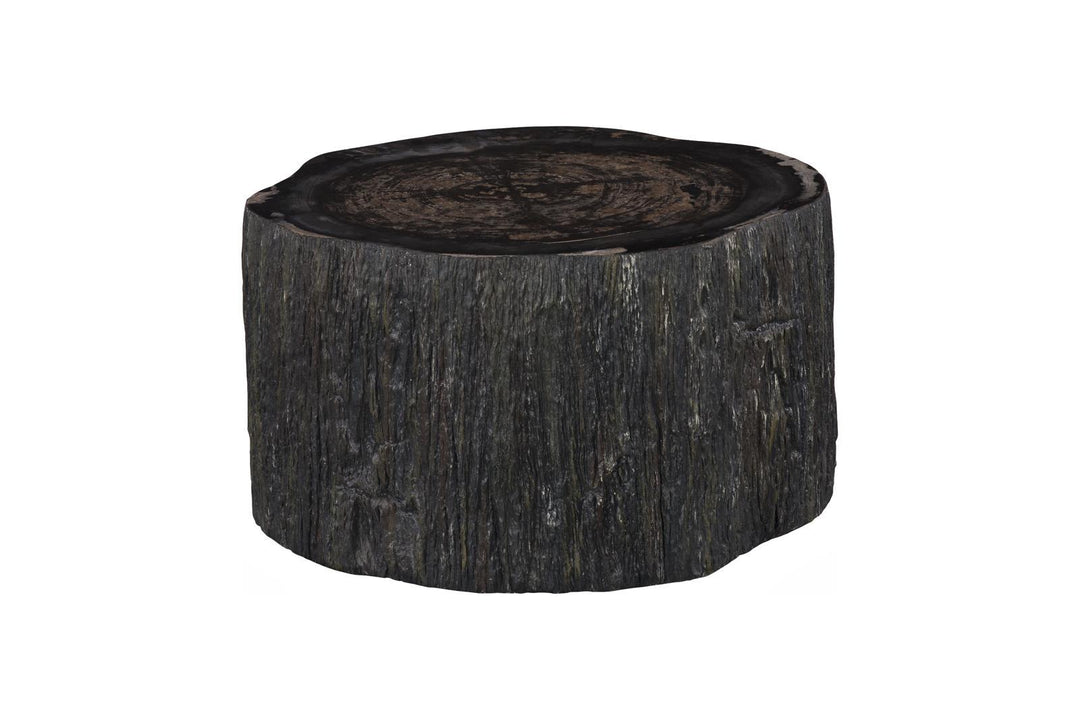 Chaka Petrified Coffee Table, Rough, Black, Small by Phillips Collection — view 1
