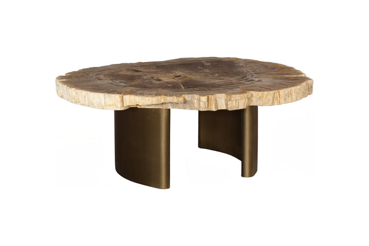Tero Petrified Coffee Table, Brass Legs by Phillips Collection — view 1