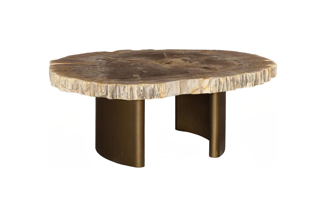 Tero Petrified Coffee Table, Brass Legs by Phillips Collection — view 3