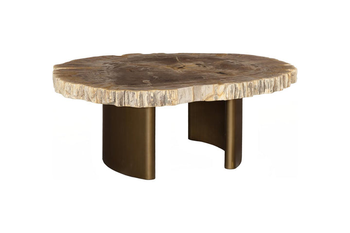 Tero Petrified Coffee Table, Brass Legs by Phillips Collection — view 3
