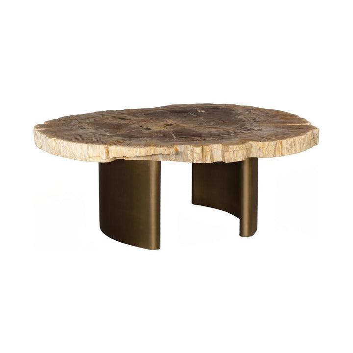 Tero Petrified Coffee Table, Brass Legs by Phillips Collection — centered product view