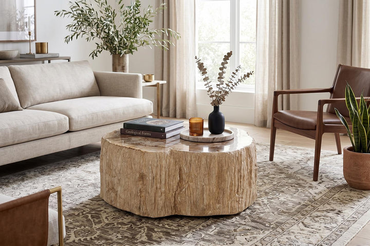 Lithic Petrified Round Coffee Table, Rough, Cream by Phillips Collection — room setting