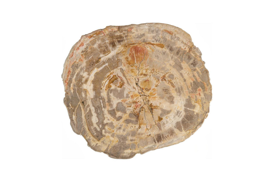 Terrain Nest Coffee Table by Phillips Collection — view 2