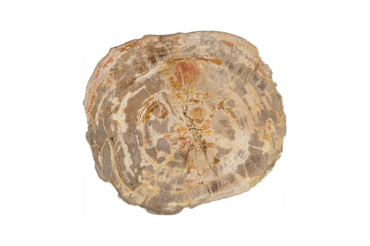 Terrain Nest Coffee Table by Phillips Collection — view 2