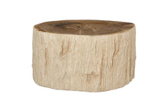 Chaka Petrified Coffee Table, Rough, Brown, Medium by Phillips Collection — view 1