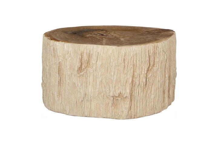 Chaka Petrified Coffee Table, Rough, Brown, Medium by Phillips Collection — view 1