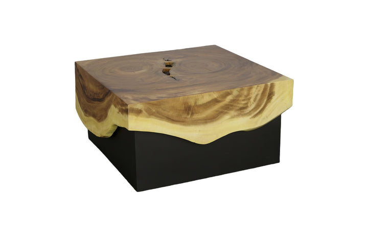 Overflow Coffee Table, Natural, Iron by Phillips Collection — view 1