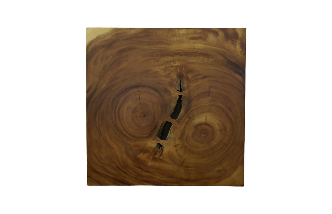 Overflow Coffee Table, Natural, Iron by Phillips Collection — view 2
