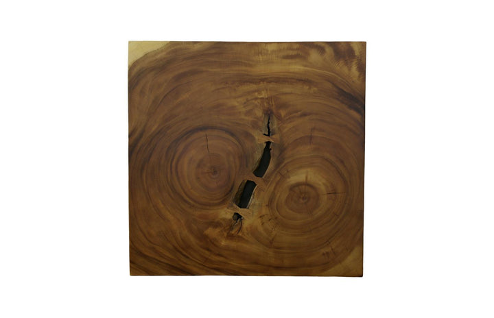 Overflow Coffee Table, Natural, Iron by Phillips Collection — view 2
