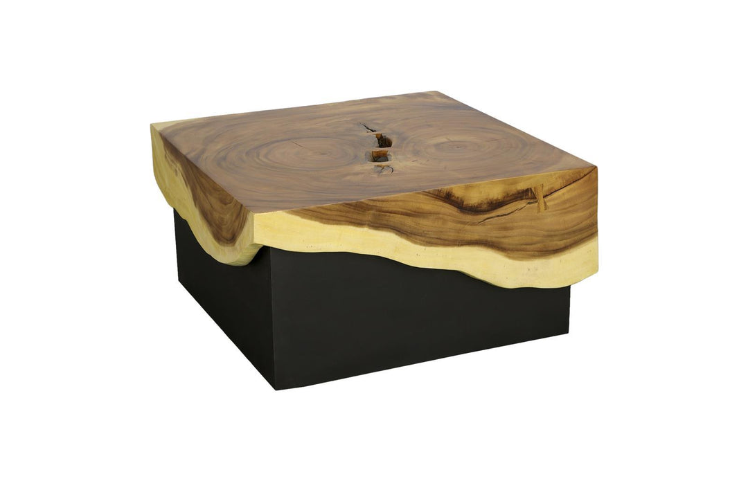Overflow Coffee Table, Natural, Iron by Phillips Collection — view 3