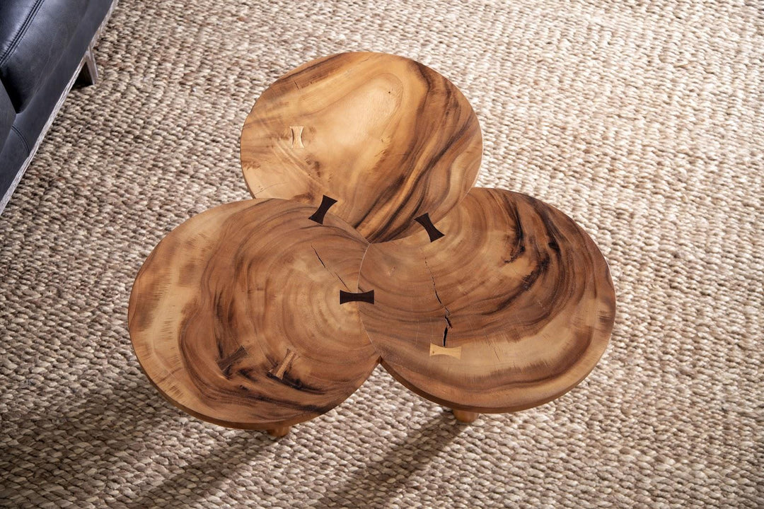 Marley Coffee Table, Natural by Phillips Collection — room setting