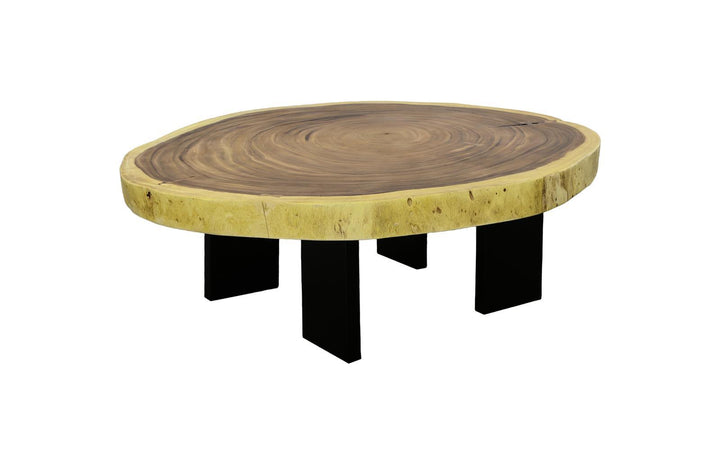 Floating Coffee Table With Black Legs, Natural, Size Varies by Phillips Collection — view 1
