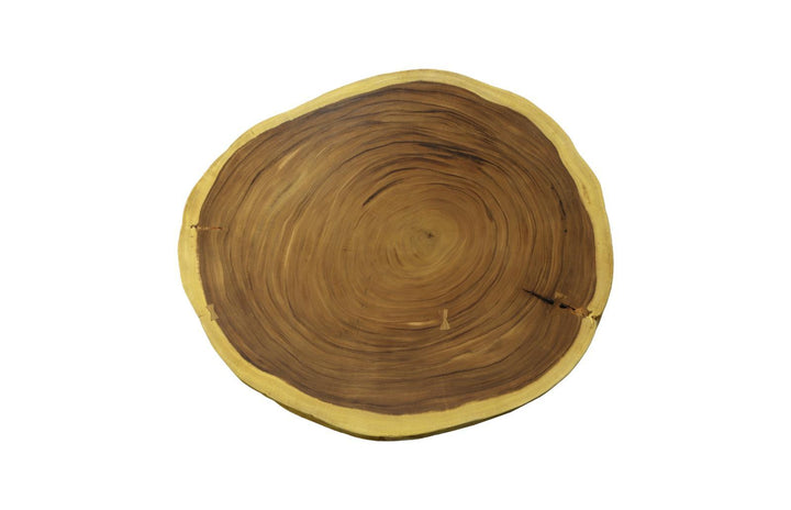 Floating Coffee Table With Black Legs, Natural, Size Varies by Phillips Collection — view 2