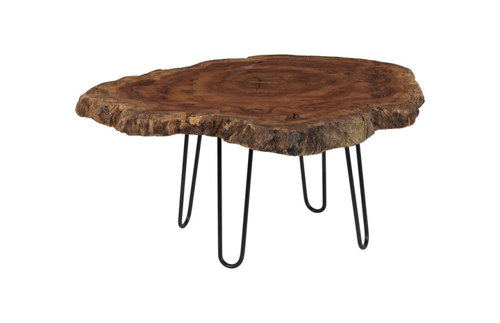 Burled Coffee Table, Black Metal Legs, Large by Phillips Collection — view 1
