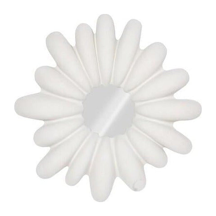 Radial Shell Mirror, White Stone Phillips Collection