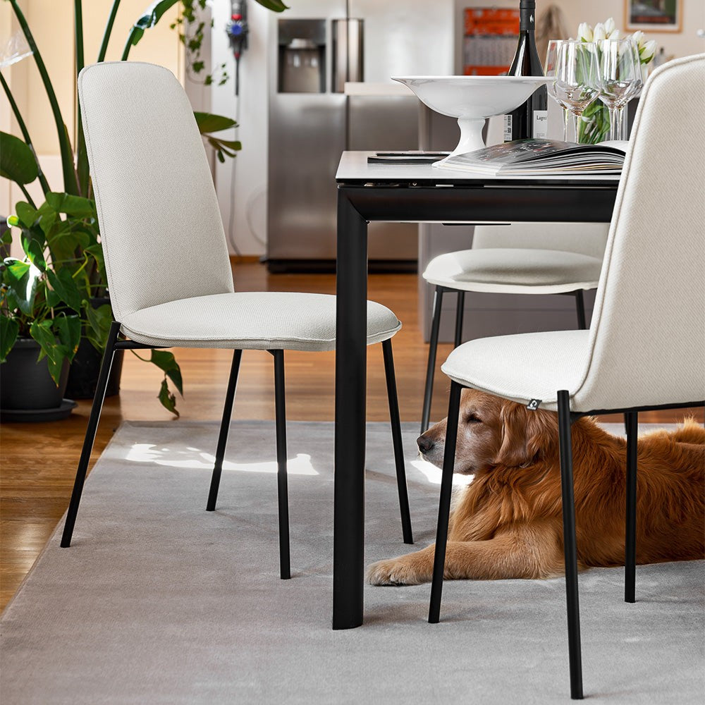 Riley Metal Upholstered Dining Chair by Connubia in a styled interior