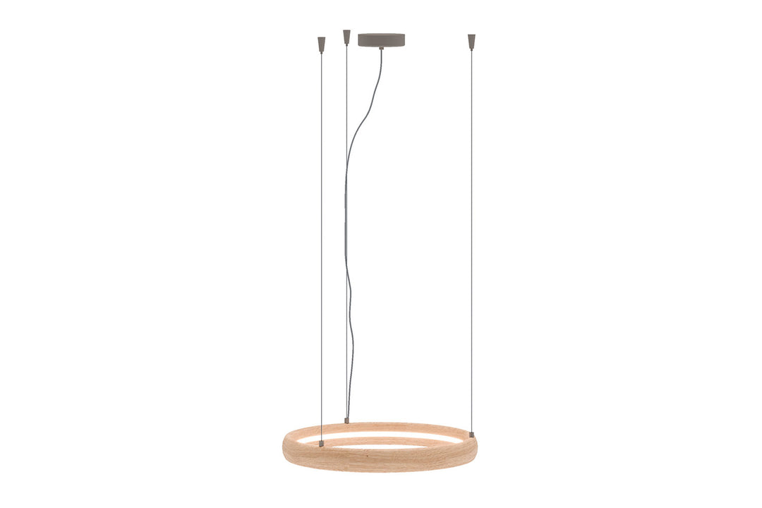 Ring Suspension Light