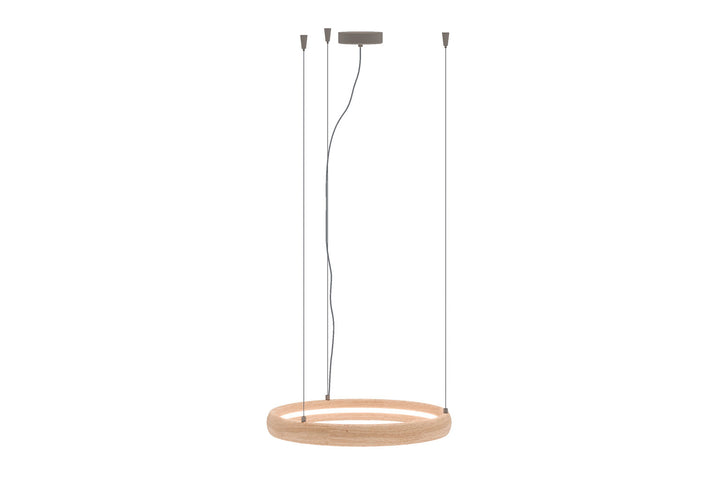 Ring Suspension Light