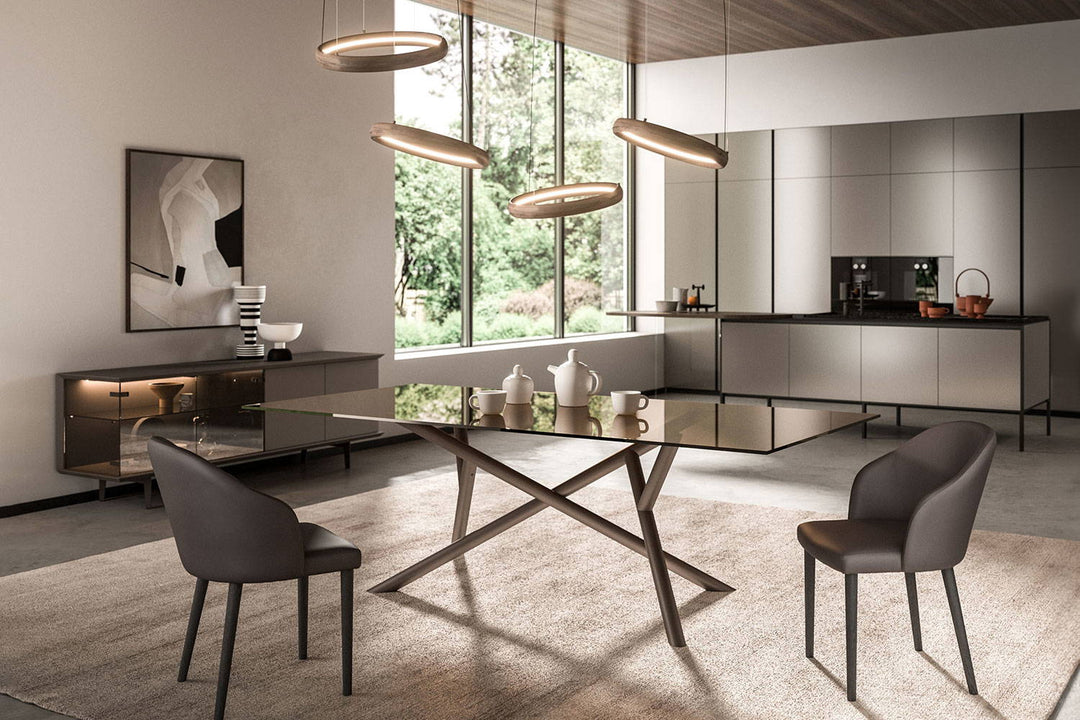Ring Suspension Light