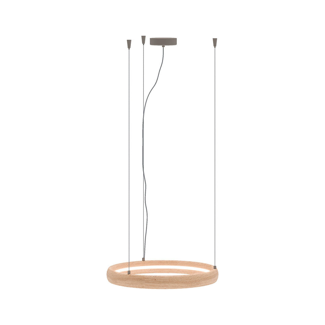 Ring Suspension Light — product (square fill)