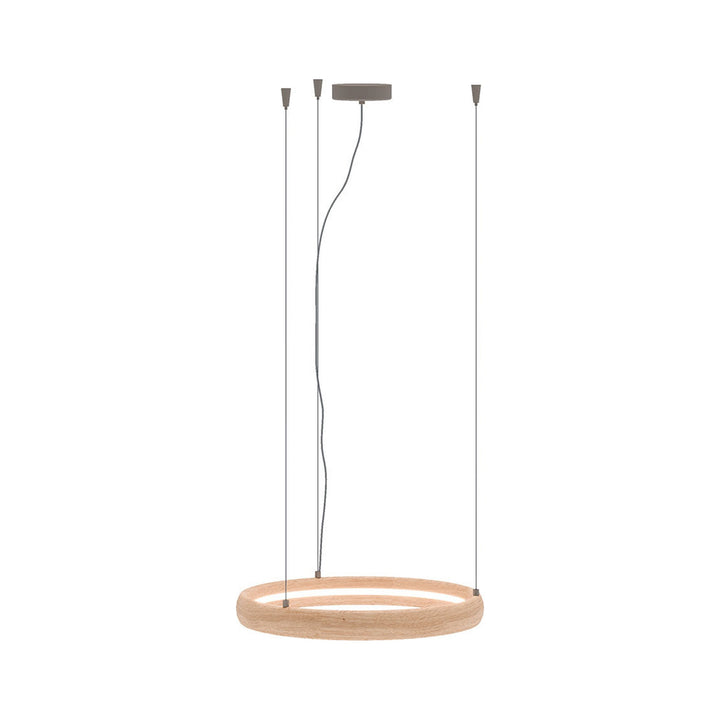 Ring Suspension Light — product (square fill)
