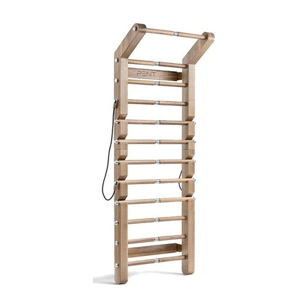 SCALA™ ADVANCE PLUS - Fitness Wall Bar — product (Taji-scaled)