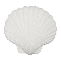 Sea Shell Wall Art, White Stone Phillips Collection