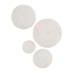 Sea Urchin Wall Art, Set Of 4 Phillips Collection