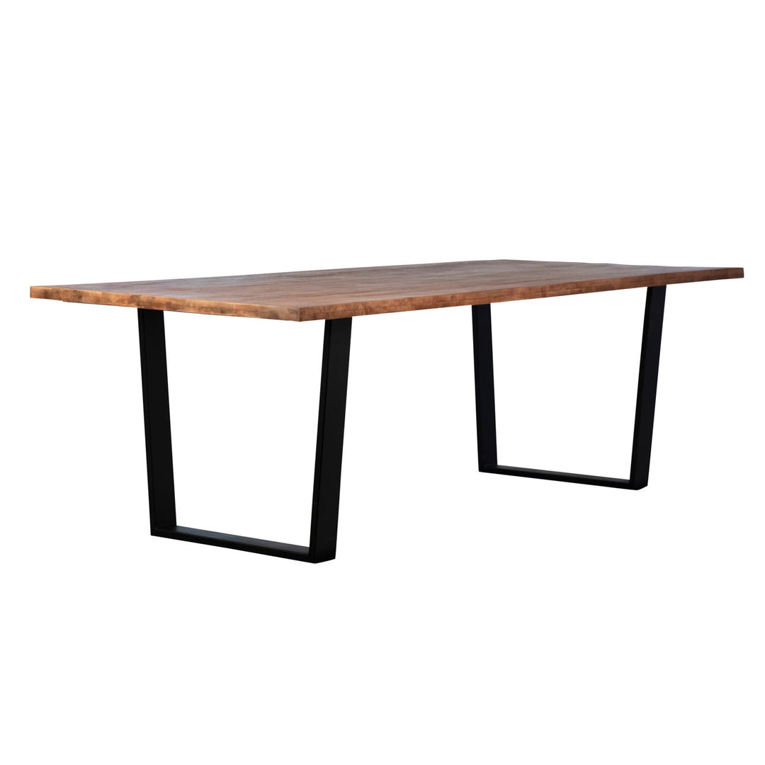 Carter Acacia and Iron Dining Table, back three quarter view