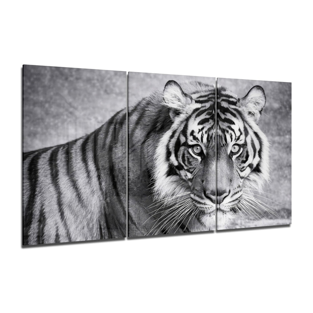 Snow Tiger Mega Glass Wall Art Insigne
