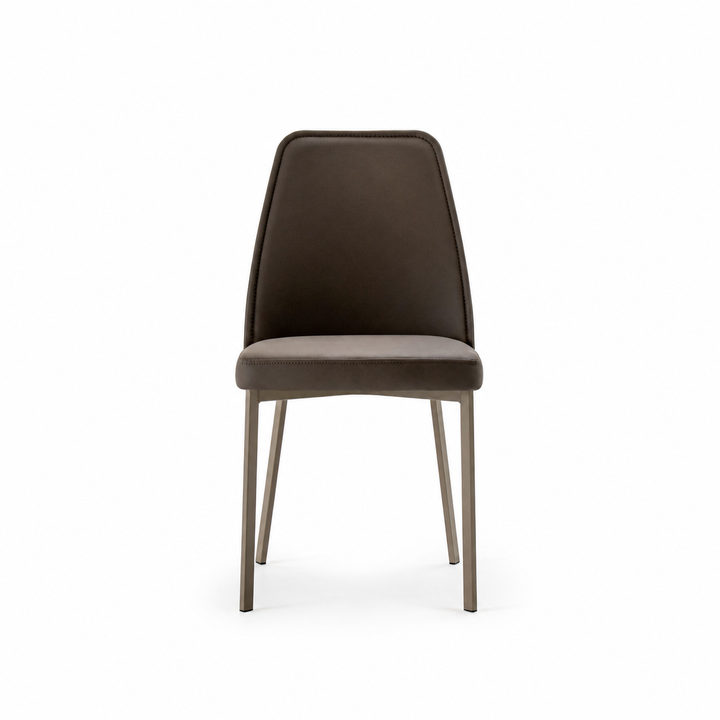 Sofia Dining Chair centered on a white background