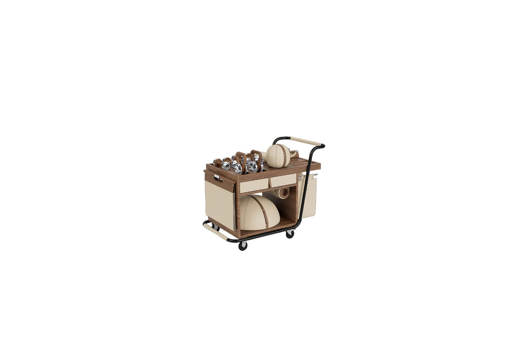 SOPHIA Fitness Cart Medicine Ball Set PENT Fitness
