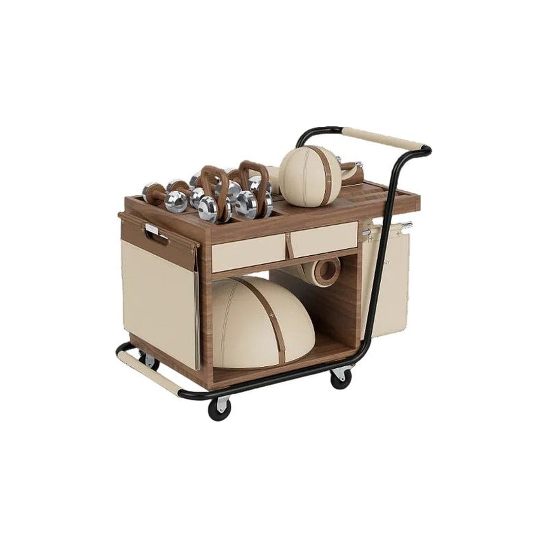 SOPHIA Fitness Cart — product (Taji-scaled)