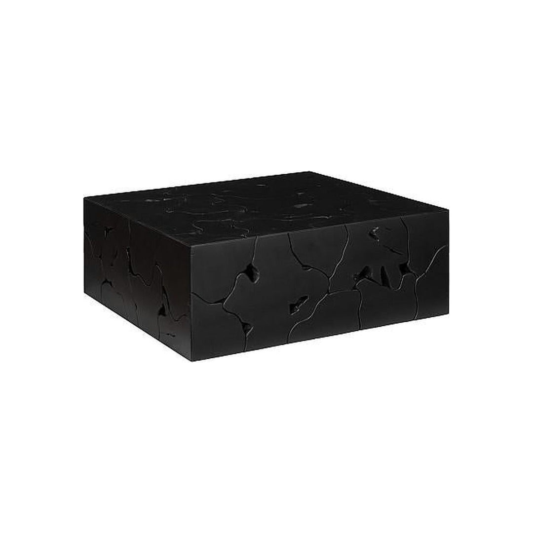 Teak Slice Coffee Table, Square, Black Phillips Collection