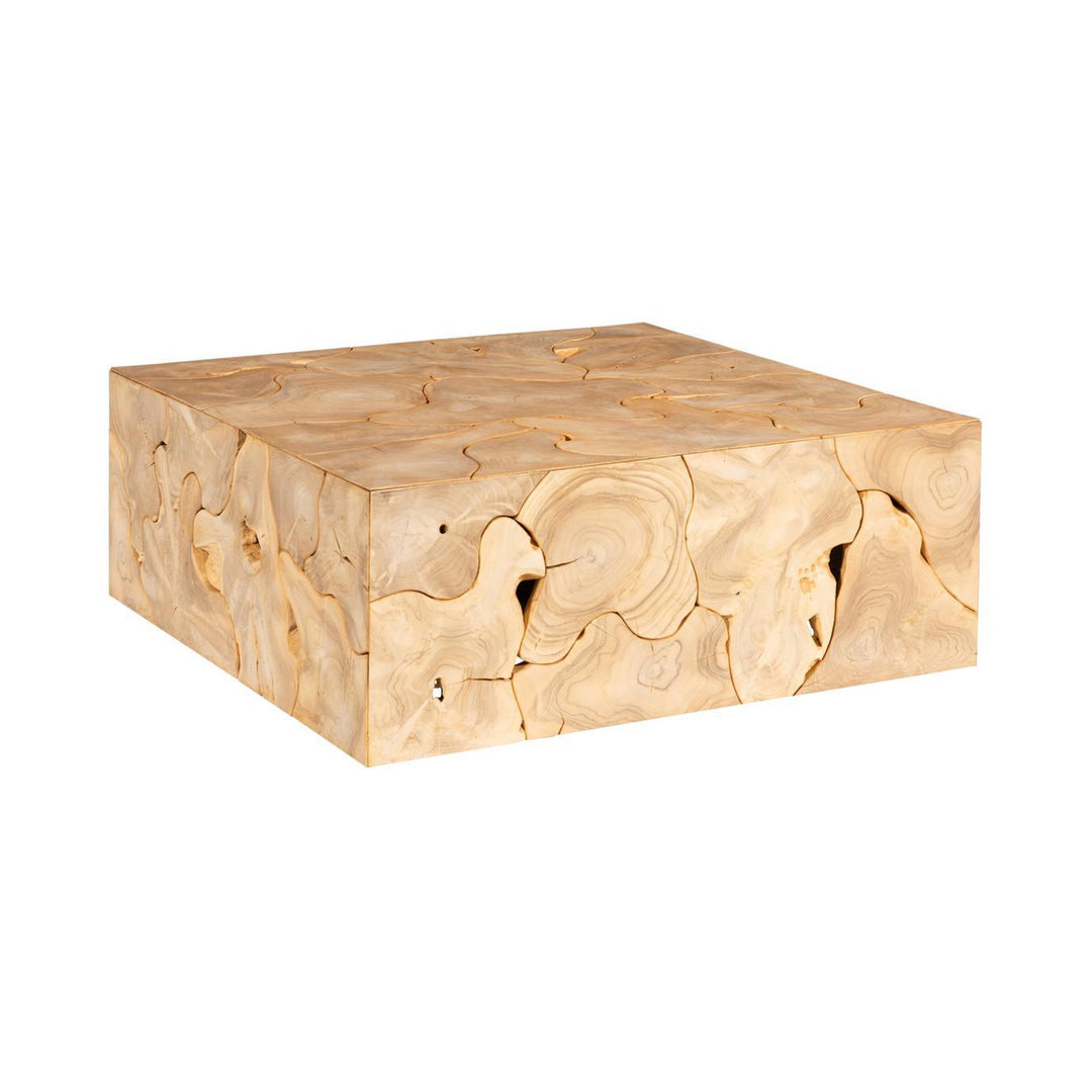 Teak Slice Coffee Table, Square, Bleached by Phillips Collection — centered product view