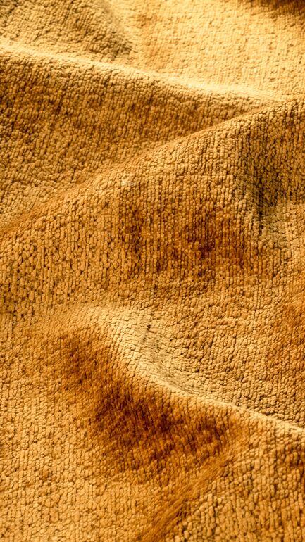 Bergen Performance 404 fabric swatch for Thomas Dawn