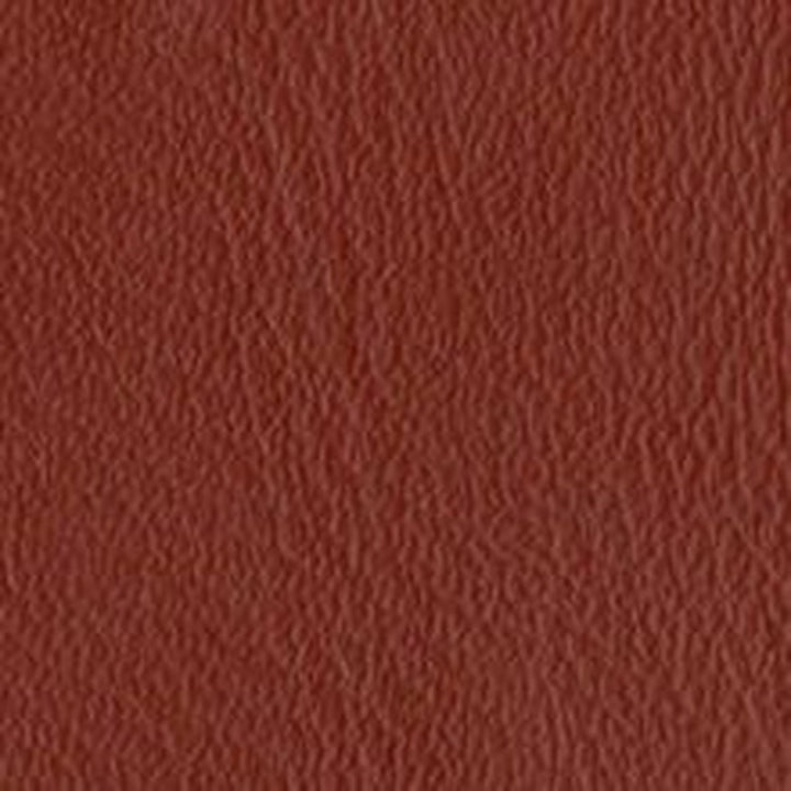 Tiger Cattelan Stool — swatch cinnamon-ppm-fr-leatherette-320_23.jpg