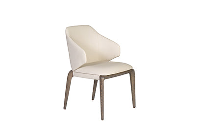 Tina Arm Dining Chair Colibri
