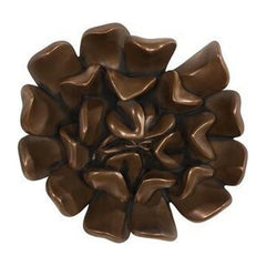 Topsy Turvy Succulent Wall Art Phillips Collection