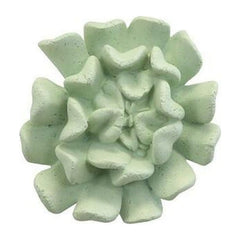 Topsy Turvy Succulent Wall Art, Jade Phillips Collection