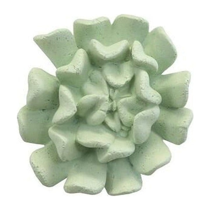 Topsy Turvy Succulent Wall Art, Jade Phillips Collection