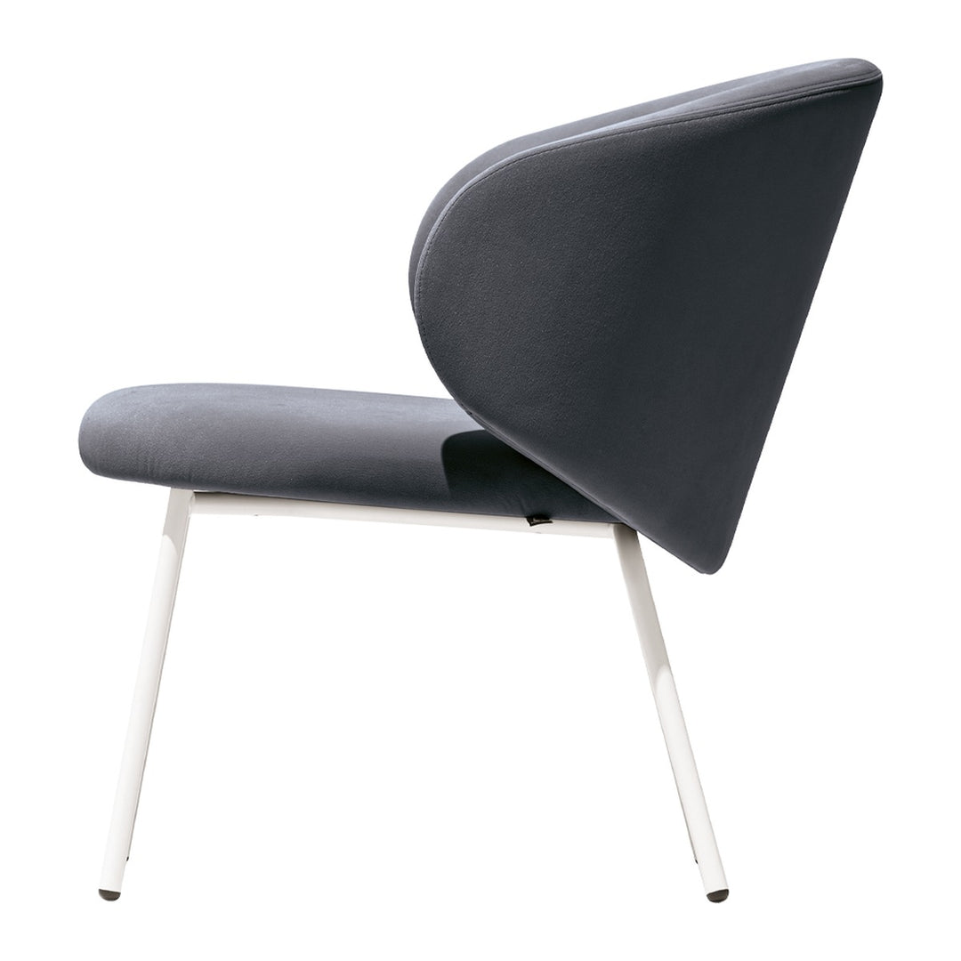 Tuka Metal Lounge Chair by Connubia finish option, white background