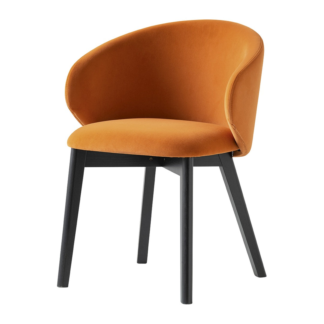 Tuka Wood Dining Armchair by Connubia, white background