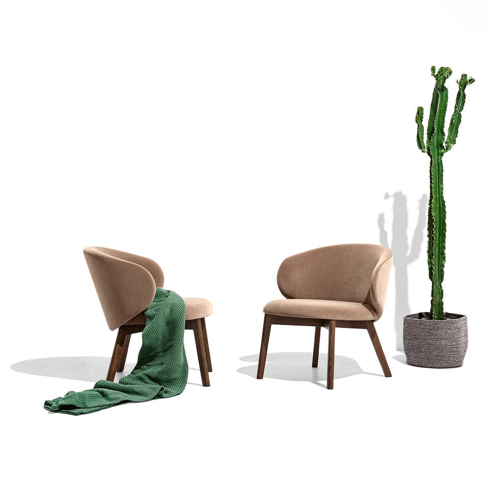 Tuka Wood Lounge Chair by Connubia in a styled interior