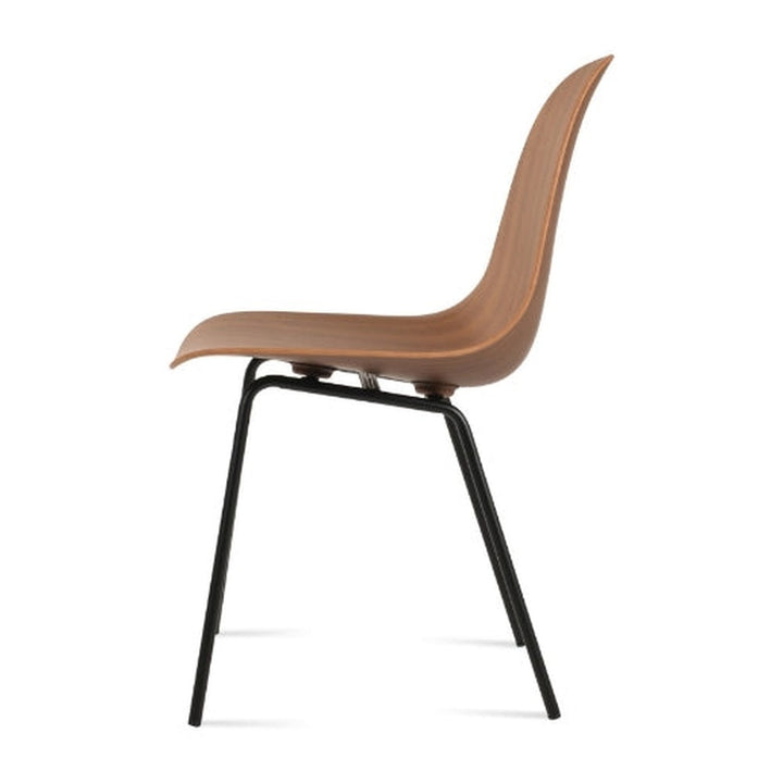 Typhoon Dining Chair