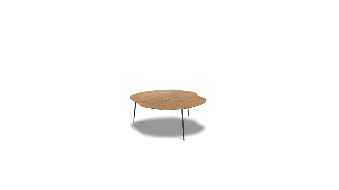 OAKLEY Coffee Table in Reclaimed