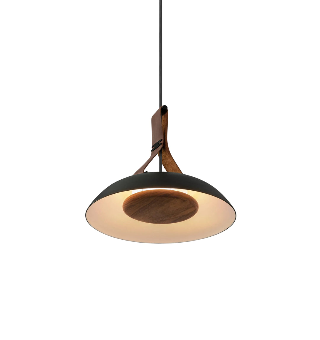 Modern pendant light with black and wood design on a white background
